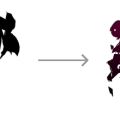 introductioncolour.png