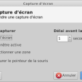 capture_d_ecran_xfce.png