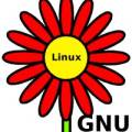montage_fleur_gnu_linux.jpg