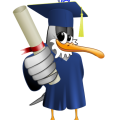 mouette-degree.png