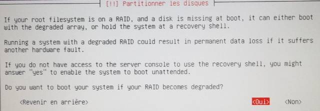 ubuntu_srv10_raid1.jpg