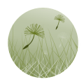 logo_ooolight_large.png