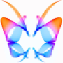 butterfly60square.png